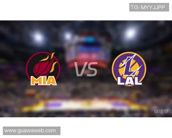 热火湖人总决赛正视频直播精彩对决全程回顾与分析