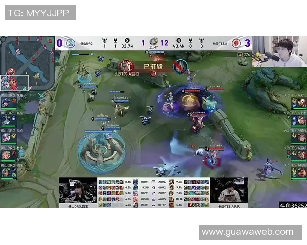 王者荣耀热议TES战队实力究竟如何引发的激烈讨论与分析